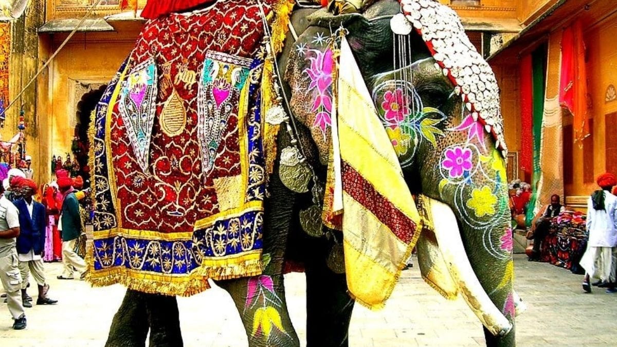 7 events you should never miss in Rajasthan