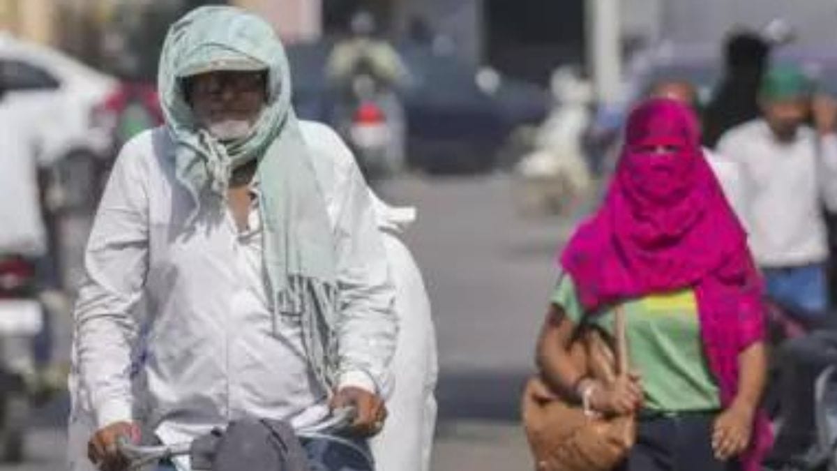 'We Don't Have Planet B': Rajasthan HC Urges Centre To Declare National Emergency Over Heatwave