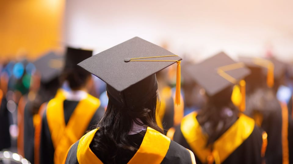 What are the top courses offered by the top colleges in Rajasthan?