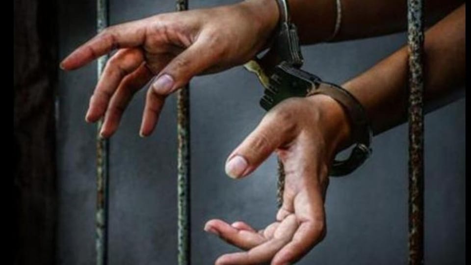 Mobile, SIM card, charger found in high-security Ajmer jail, two inmates booked